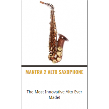 Theo Wanne-Shop-Instruments-TENOR SAXOPHONE-MANTRA 2 TENOR SAXOPHONE